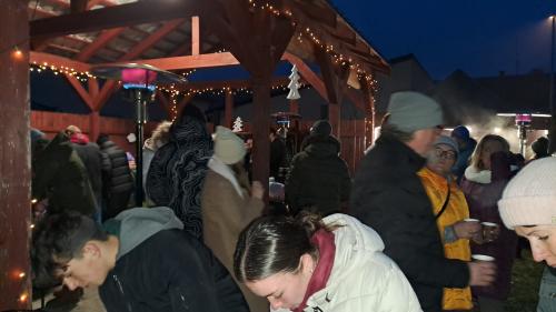 ROZSVÍCENÍ VÁNOČNÍHO STROMU